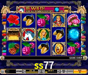 ss77 Brasília - VIP Program